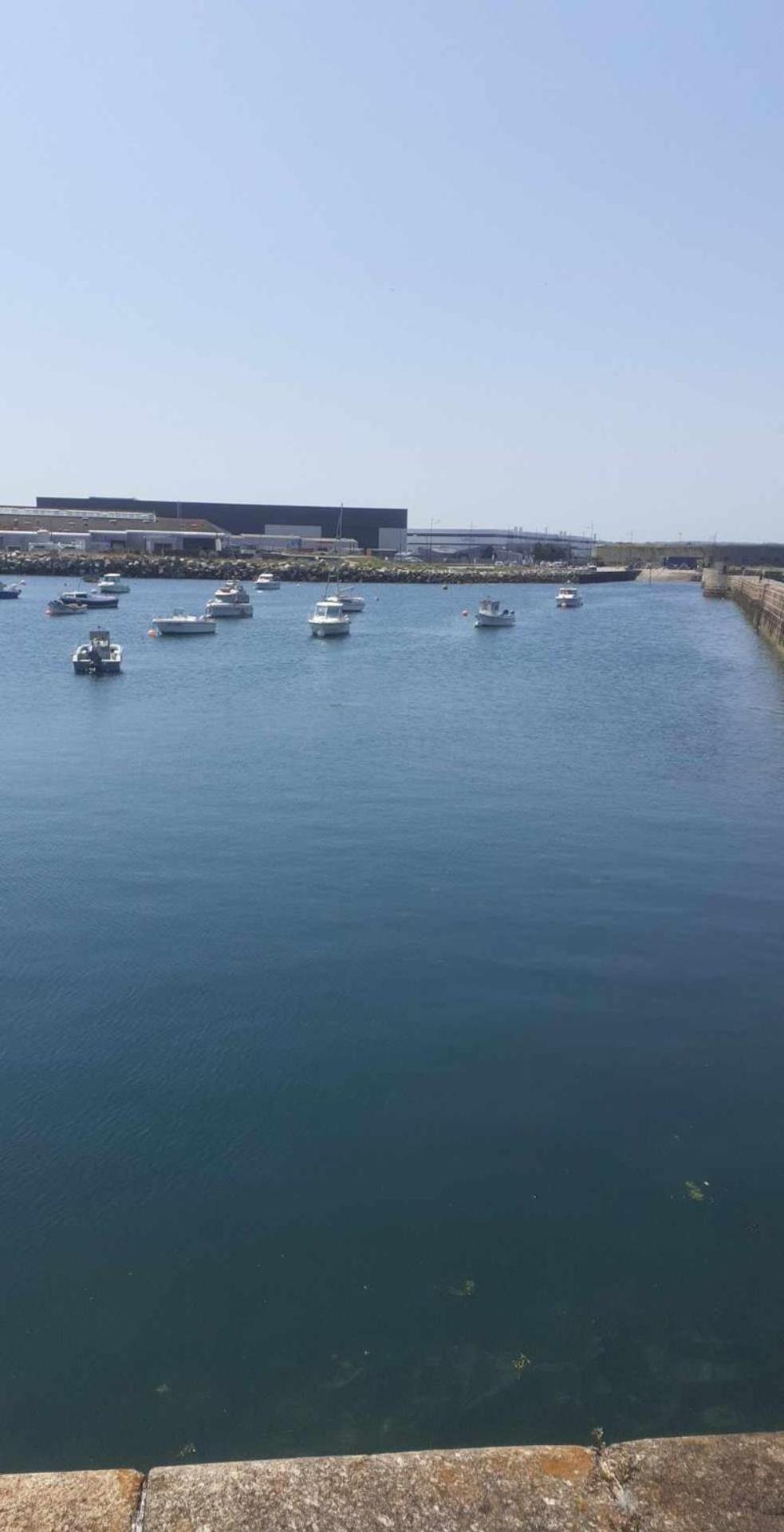 Ma Niche A Louer Lejlighed Cherbourg-en-Cotentin Eksteriør billede